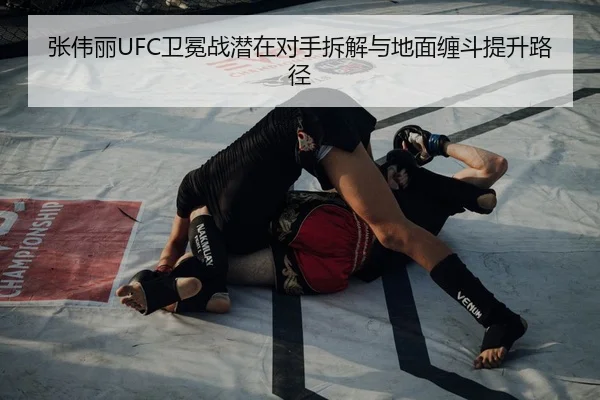 张伟丽UFC卫冕战潜在对手拆解与地面缠斗提升路径